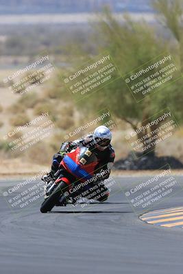 media/May-14-2023-SoCal Trackdays (Sun) [[024eb53b40]]/Turn 5 Tree of Life (1125am)/